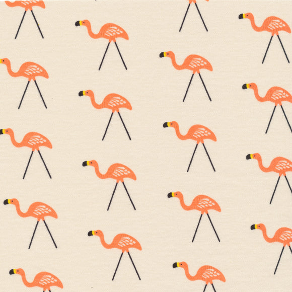 Brown Flamingos